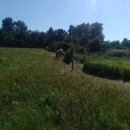 Maison Individuelle 5 Couchages Dans Ferme Equestre Aups Εξωτερικό φωτογραφία