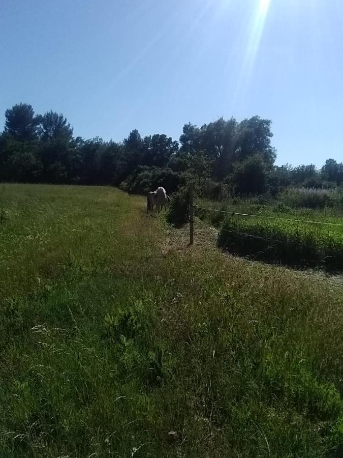 Maison Individuelle 5 Couchages Dans Ferme Equestre Aups Εξωτερικό φωτογραφία